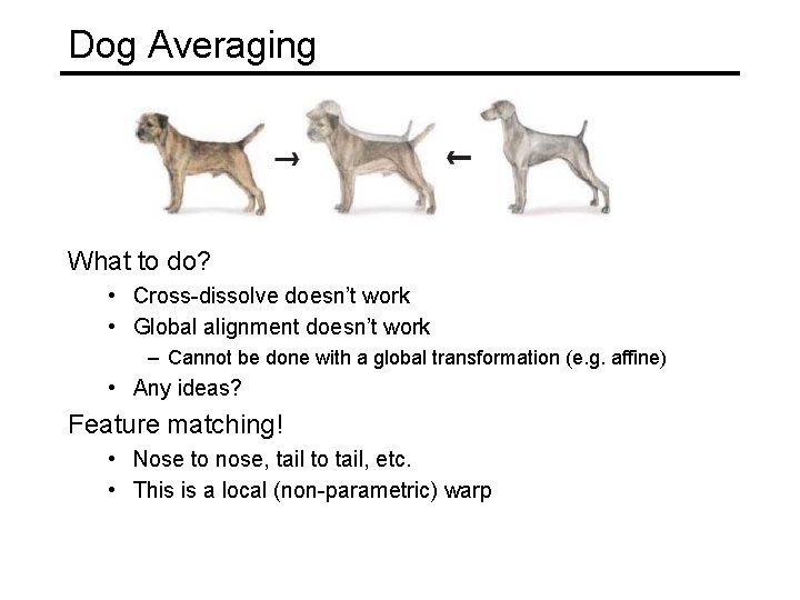 Dog Averaging What to do? • Cross-dissolve doesn’t work • Global alignment doesn’t work