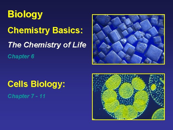 Biology Chemistry Basics: The Chemistry of Life Chapter 6 Cells Biology: Chapter 7 -