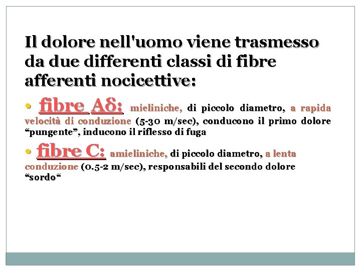 Il dolore nell'uomo viene trasmesso da due differenti classi di fibre afferenti nocicettive: •