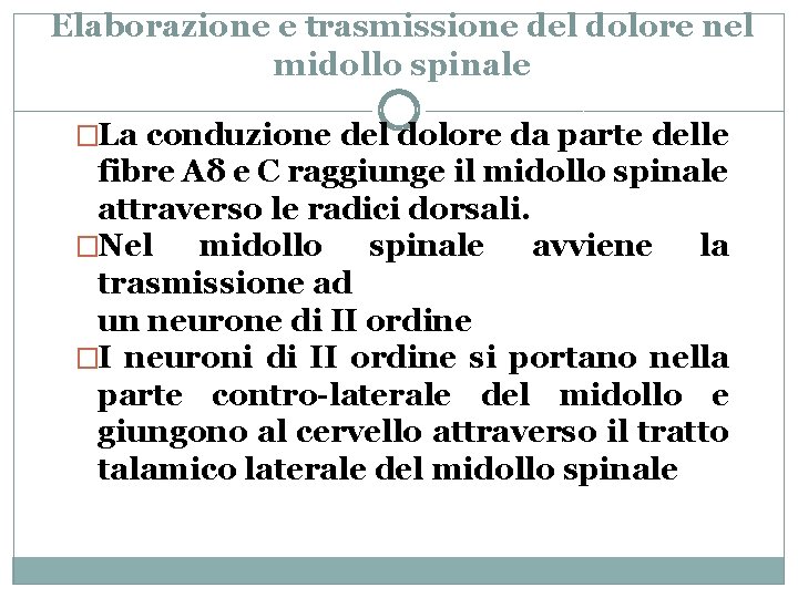 Elaborazione e trasmissione del dolore nel midollo spinale �La conduzione del dolore da parte