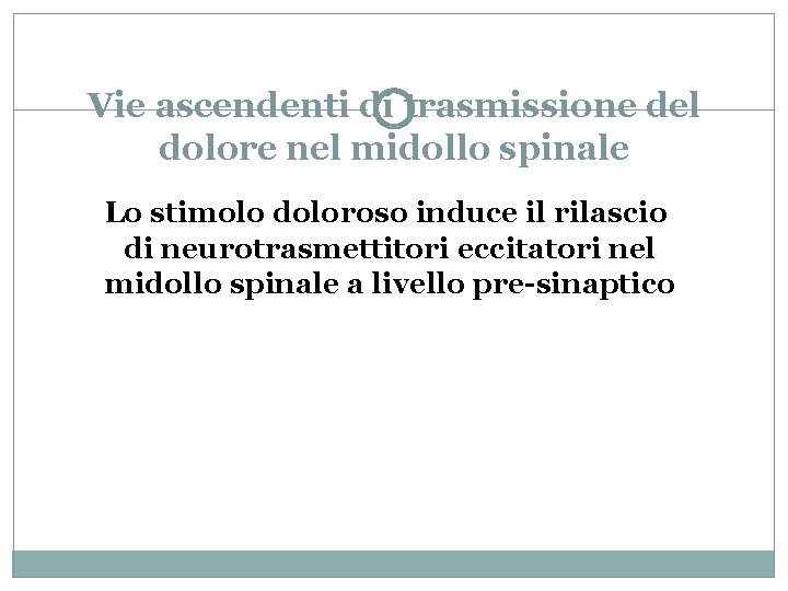 Vie ascendenti di trasmissione del dolore nel midollo spinale Lo stimolo doloroso induce il