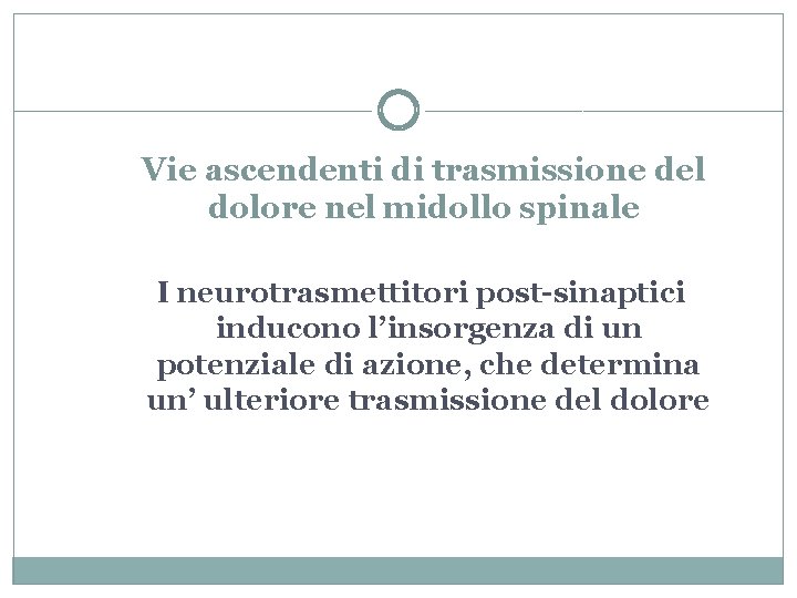 Vie ascendenti di trasmissione del dolore nel midollo spinale I neurotrasmettitori post-sinaptici inducono l’insorgenza