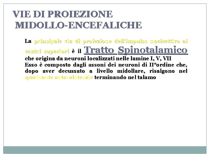 VIE DI PROIEZIONE MIDOLLO-ENCEFALICHE La principale via di proiezione dell'impulso nocicettivo ai Tratto Spinotalamico