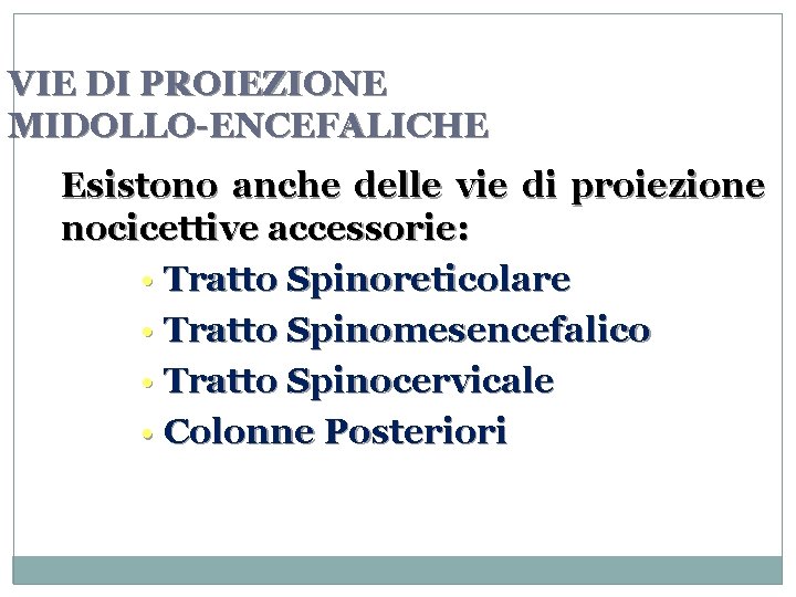 VIE DI PROIEZIONE MIDOLLO-ENCEFALICHE Esistono anche delle vie di proiezione nocicettive accessorie: • Tratto