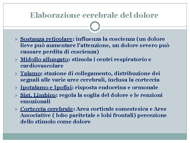 Elaborazione cerebrale del dolore Ø Ø Ø Sostanza reticolare: influenza la coscienza (un dolore