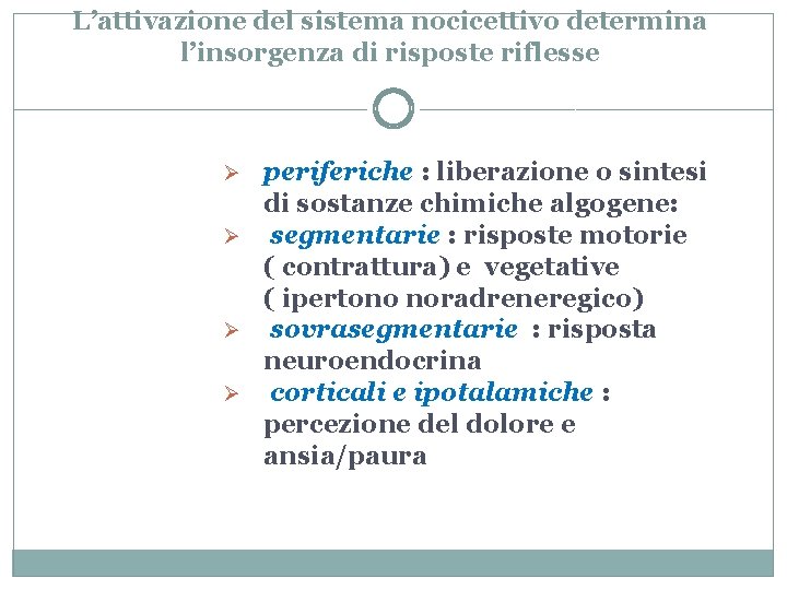 L’attivazione del sistema nocicettivo determina l’insorgenza di risposte riflesse periferiche : liberazione o sintesi