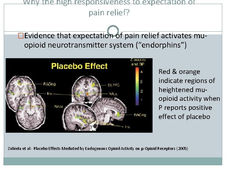 Why the high responsiveness to expectation of pain relief? �Evidence that expectation of pain