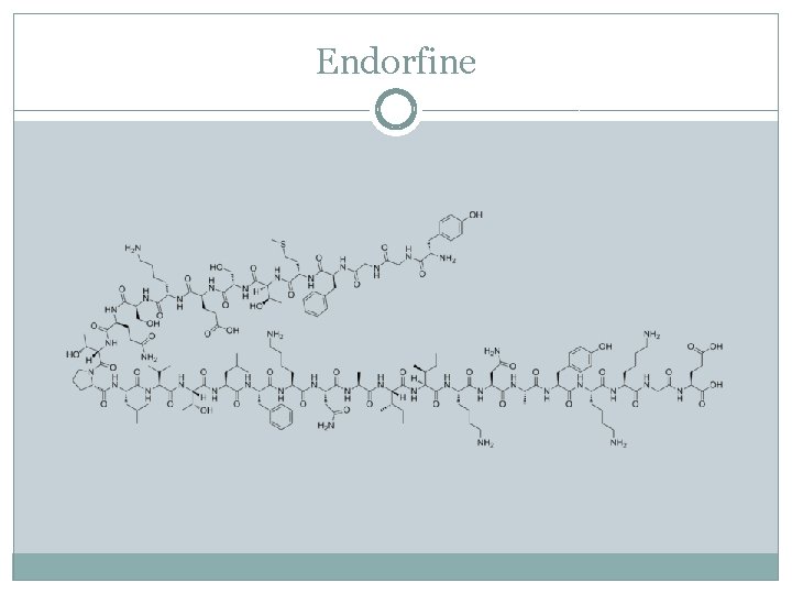 Endorfine 