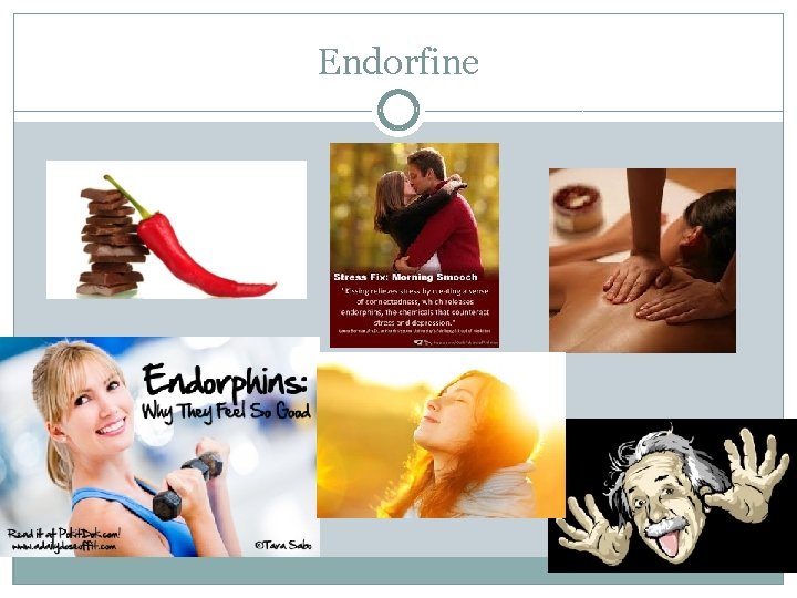 Endorfine 