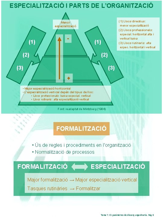 ESPECIALITZACIÓ I PARTS DE L’ORGANITZACIÓ (1) Llocs directius: menor especialització (2) Llocs professionals: especial.