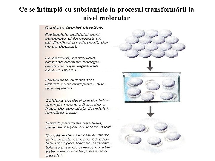 Ce se întîmplă cu substanţele în procesul transformării la nivel molecular 