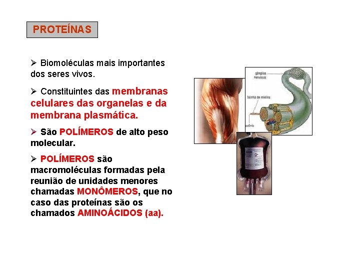 PROTEÍNAS Ø Biomoléculas mais importantes dos seres vivos. Ø Constituintes das membranas celulares das