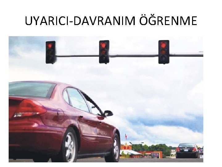 UYARICI-DAVRANIM ÖĞRENME 14 