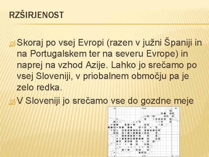 RZŠIRJENOST Skoraj po vsej Evropi (razen v južni Španiji in na Portugalskem ter na