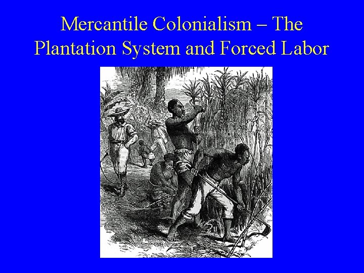 Mercantile Colonialism – The Plantation System and Forced Labor 