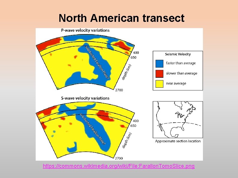 North American transect https: //commons. wikimedia. org/wiki/File: Farallon. Tomo. Slice. png North American transect https: //commons. wikimedia. org/wiki/File: Farallon. Tomo. Slice. png