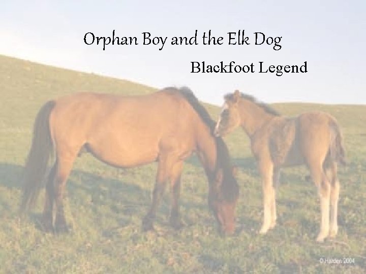 Orphan Boy and the Elk Dog Blackfoot Legend 