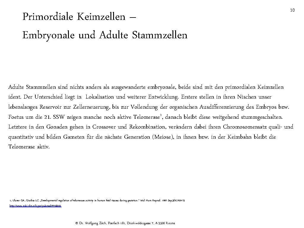 Primordiale Keimzellen – Embryonale und Adulte Stammzellen 10 Adulte Stammzellen sind nichts anders als