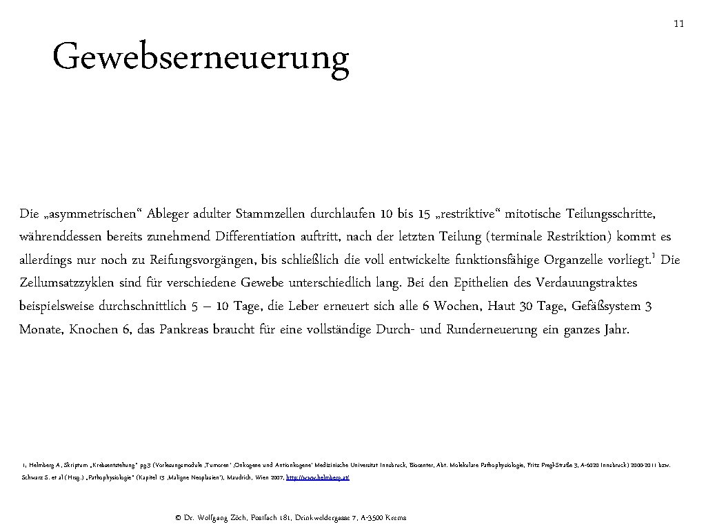 Gewebserneuerung 11 Die „asymmetrischen“ Ableger adulter Stammzellen durchlaufen 10 bis 15 „restriktive“ mitotische Teilungsschritte,