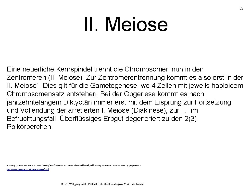 22 II. Meiose Eine neuerliche Kernspindel trennt die Chromosomen nun in den Zentromeren (II.
