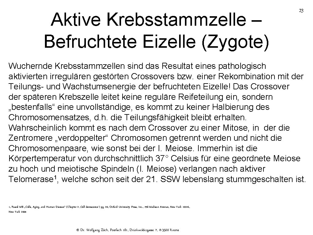 Aktive Krebsstammzelle – Befruchtete Eizelle (Zygote) 23 Wuchernde Krebsstammzellen sind das Resultat eines pathologisch