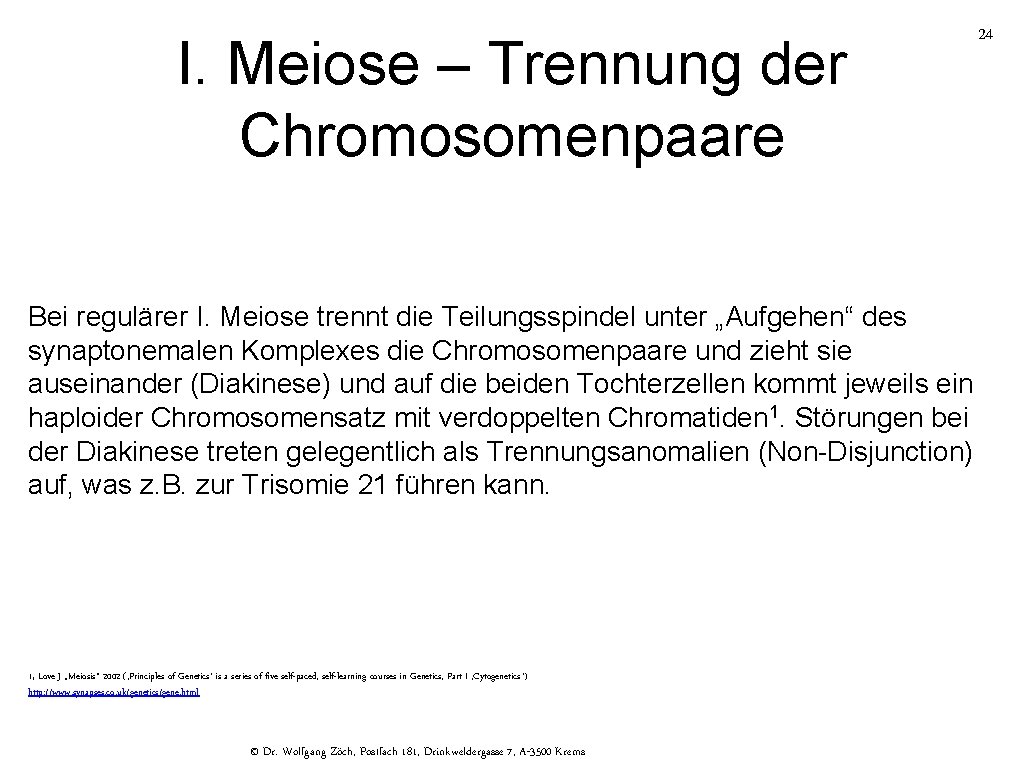 I. Meiose – Trennung der Chromosomenpaare 24 Bei regulärer I. Meiose trennt die Teilungsspindel