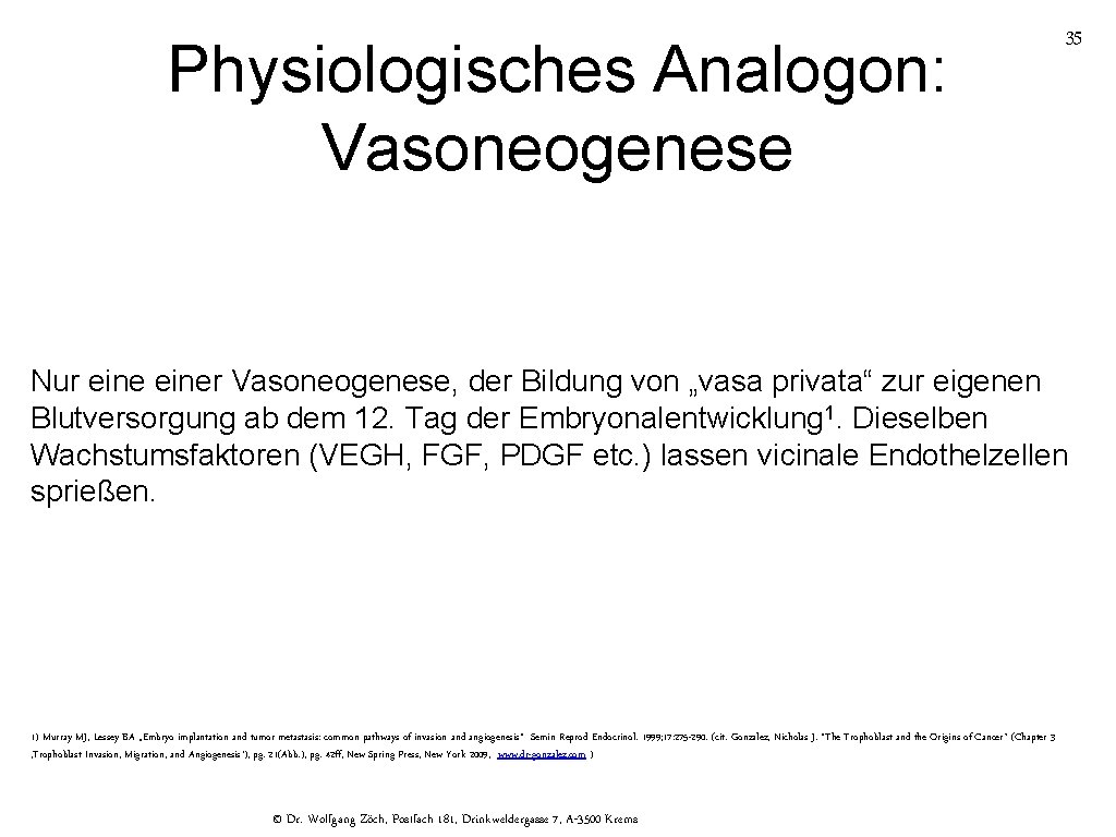 Physiologisches Analogon: Vasoneogenese 35 Nur einer Vasoneogenese, der Bildung von „vasa privata“ zur eigenen