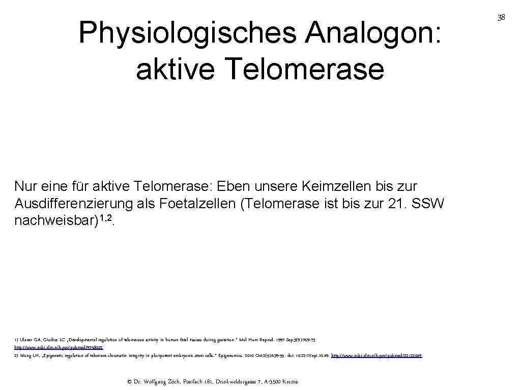 Physiologisches Analogon: aktive Telomerase Nur eine für aktive Telomerase: Eben unsere Keimzellen bis zur