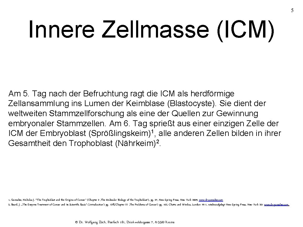 5 Innere Zellmasse (ICM) Am 5. Tag nach der Befruchtung ragt die ICM als