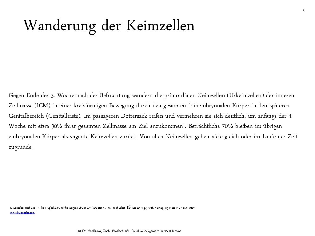 Wanderung der Keimzellen Gegen Ende der 3. Woche nach der Befruchtung wandern die primordialen