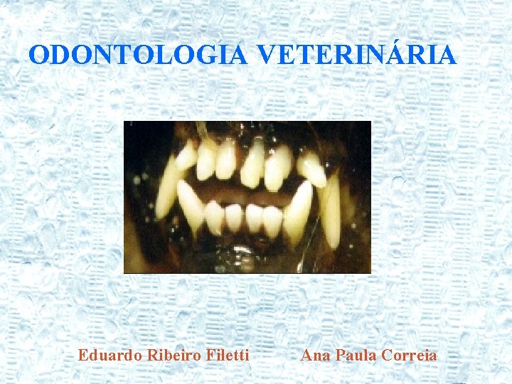 ODONTOLOGIA VETERINÁRIA Eduardo Ribeiro Filetti Ana Paula Correia 