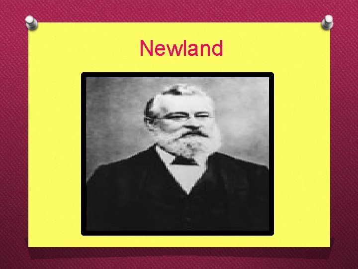 Newland 