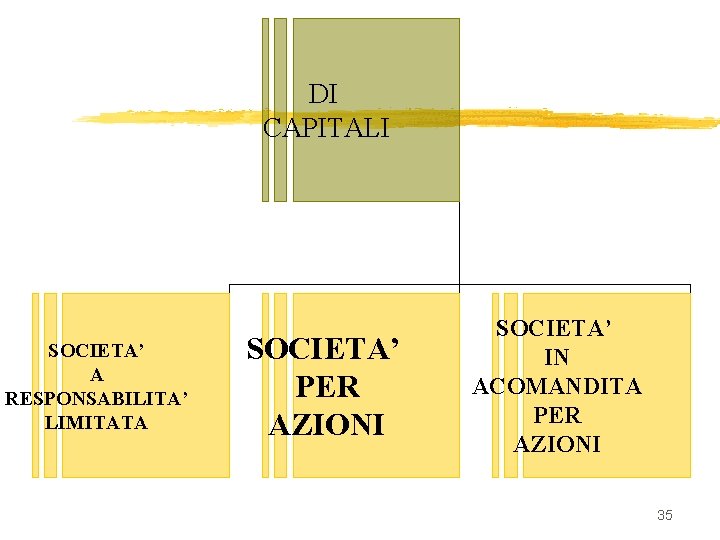 DI CAPITALI SOCIETA’ A RESPONSABILITA’ LIMITATA SOCIETA’ PER AZIONI SOCIETA’ IN ACOMANDITA PER AZIONI