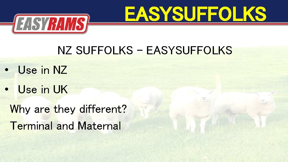 EASYSUFFOLKS NZ SUFFOLKS – EASYSUFFOLKS • Use in NZ • Use in UK EASYSUFFOLKS NZ SUFFOLKS – EASYSUFFOLKS • Use in NZ • Use in UK