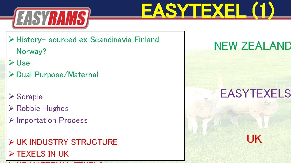 EASYTEXEL (1) History- sourced ex Scandinavia Finland Norway? Use Dual Purpose/Maternal Scrapie Robbie Hughes EASYTEXEL (1) History- sourced ex Scandinavia Finland Norway? Use Dual Purpose/Maternal Scrapie Robbie Hughes