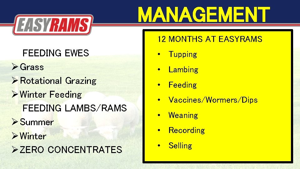 MANAGEMENT FEEDING EWES Grass Rotational Grazing Winter Feeding FEEDING LAMBS/RAMS Summer Winter ZERO CONCENTRATES MANAGEMENT FEEDING EWES Grass Rotational Grazing Winter Feeding FEEDING LAMBS/RAMS Summer Winter ZERO CONCENTRATES