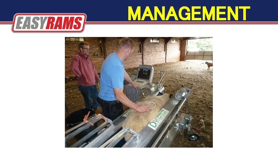 MANAGEMENT MANAGEMENT
