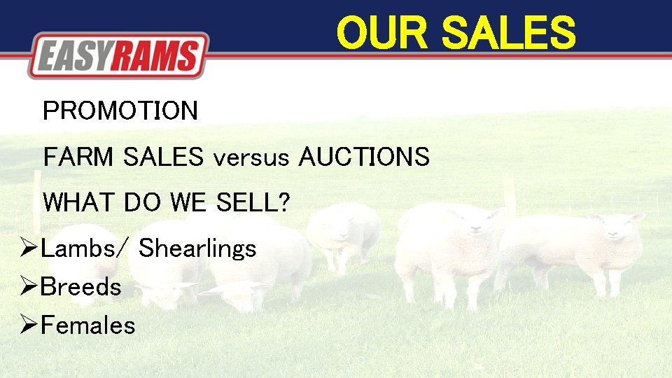 OUR SALES PROMOTION FARM SALES versus AUCTIONS WHAT DO WE SELL? Lambs/ Shearlings Breeds OUR SALES PROMOTION FARM SALES versus AUCTIONS WHAT DO WE SELL? Lambs/ Shearlings Breeds