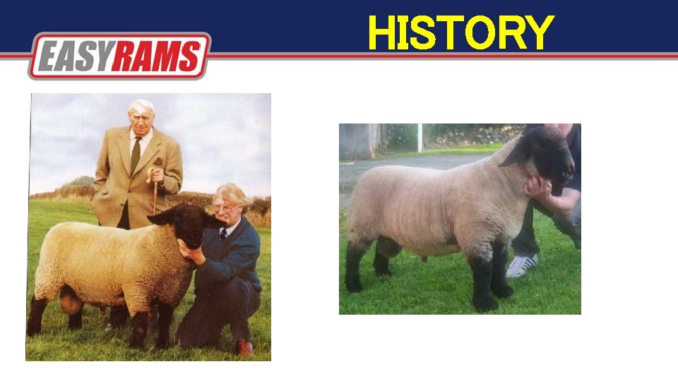 HISTORY HISTORY