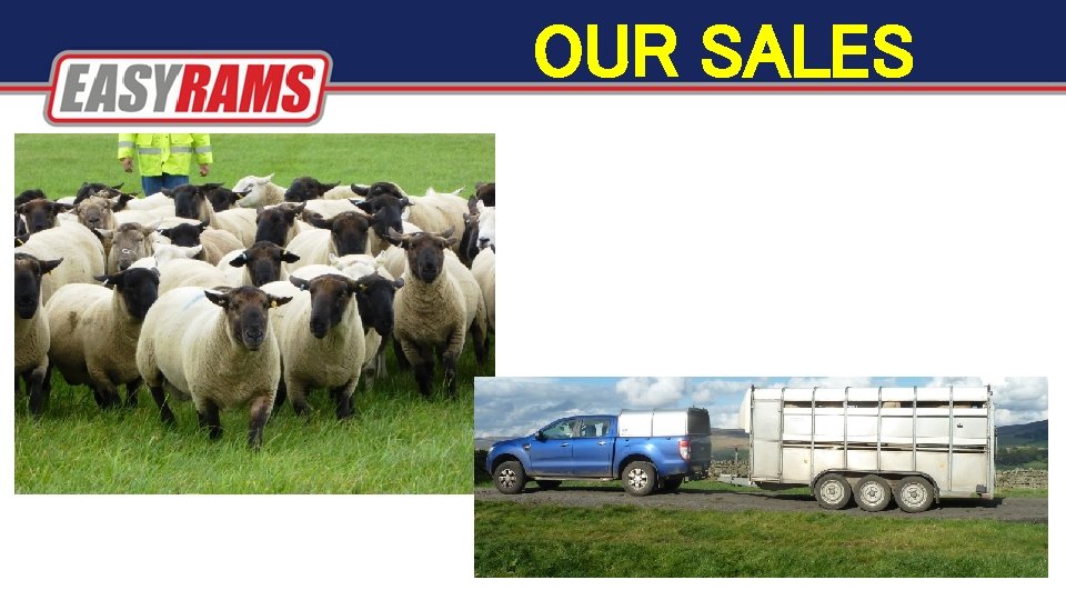 OUR SALES OUR SALES