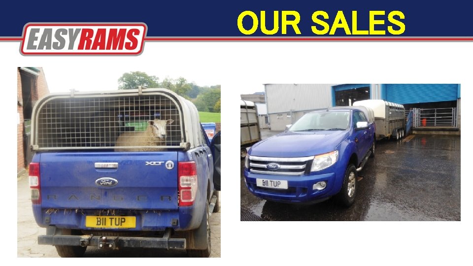 OUR SALES OUR SALES