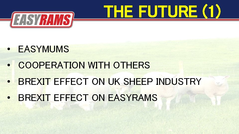 THE FUTURE (1) • EASYMUMS • COOPERATION WITH OTHERS • BREXIT EFFECT ON THE FUTURE (1) • EASYMUMS • COOPERATION WITH OTHERS • BREXIT EFFECT ON