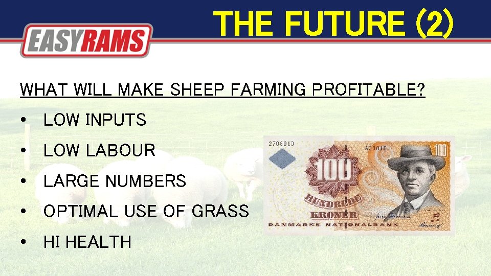 THE FUTURE (2) WHAT WILL MAKE SHEEP FARMING PROFITABLE? • LOW INPUTS • LOW THE FUTURE (2) WHAT WILL MAKE SHEEP FARMING PROFITABLE? • LOW INPUTS • LOW