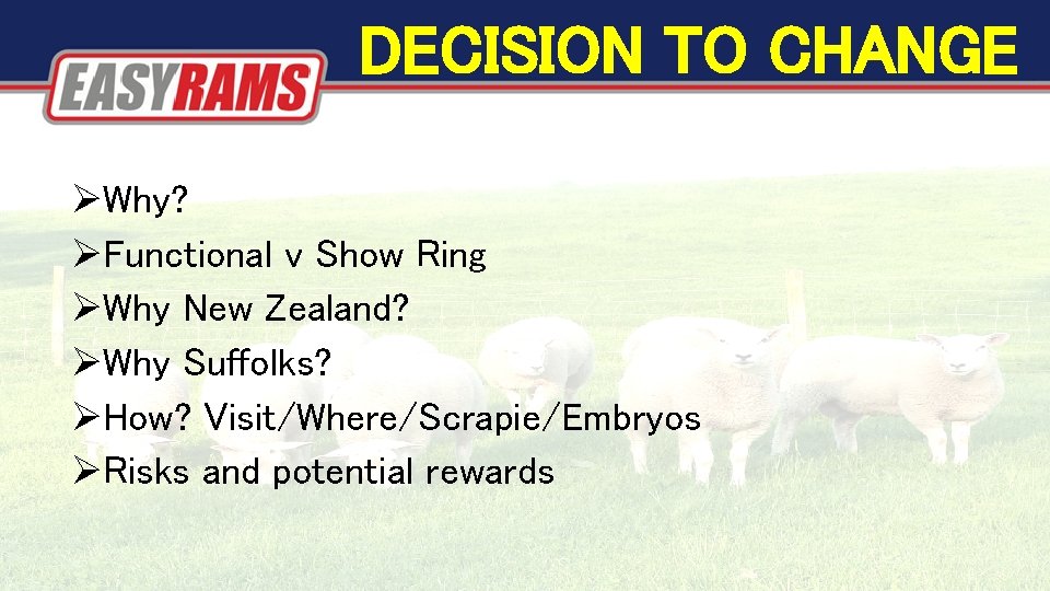 DECISION TO CHANGE Why? Functional v Show Ring Why New Zealand? Why Suffolks? How? DECISION TO CHANGE Why? Functional v Show Ring Why New Zealand? Why Suffolks? How?