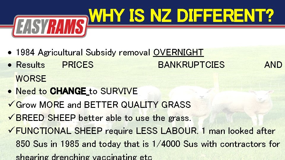 WHY IS NZ DIFFERENT? 1984 Agricultural Subsidy removal OVERNIGHT Results PRICES BANKRUPTCIES AND WORSE WHY IS NZ DIFFERENT? 1984 Agricultural Subsidy removal OVERNIGHT Results PRICES BANKRUPTCIES AND WORSE