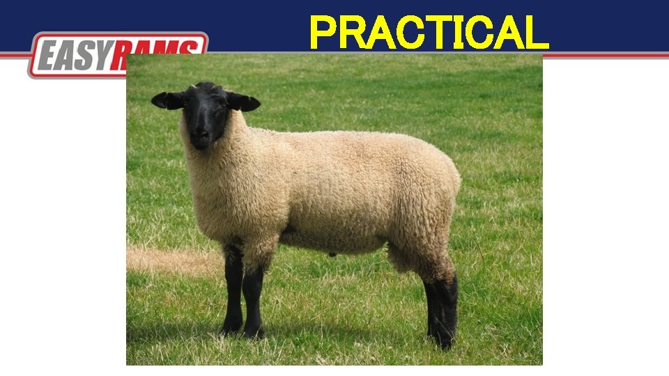 PRACTICAL PRACTICAL