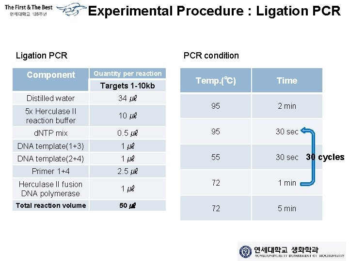 Experimental Procedure : Ligation PCR • Ligation PCR Component • PCR condition Quantity per