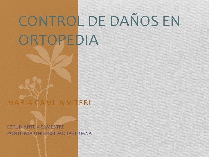 CONTROL DE DAÑOS EN ORTOPEDIA MARIA CAMILA VITERI ESTUDIANTE X SEMESTRE PONTIFICIA UNIVERSIDAD JAVERIANA