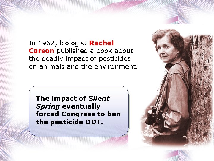 In 1962, biologist Rachel Carson published a book about the deadly impact of pesticides