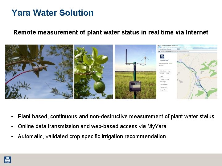 Yara Water Solution Remote measurement of plant water status in real time via Internet Yara Water Solution Remote measurement of plant water status in real time via Internet